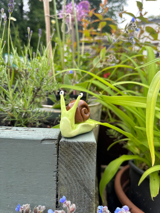 Snail Desk Friend