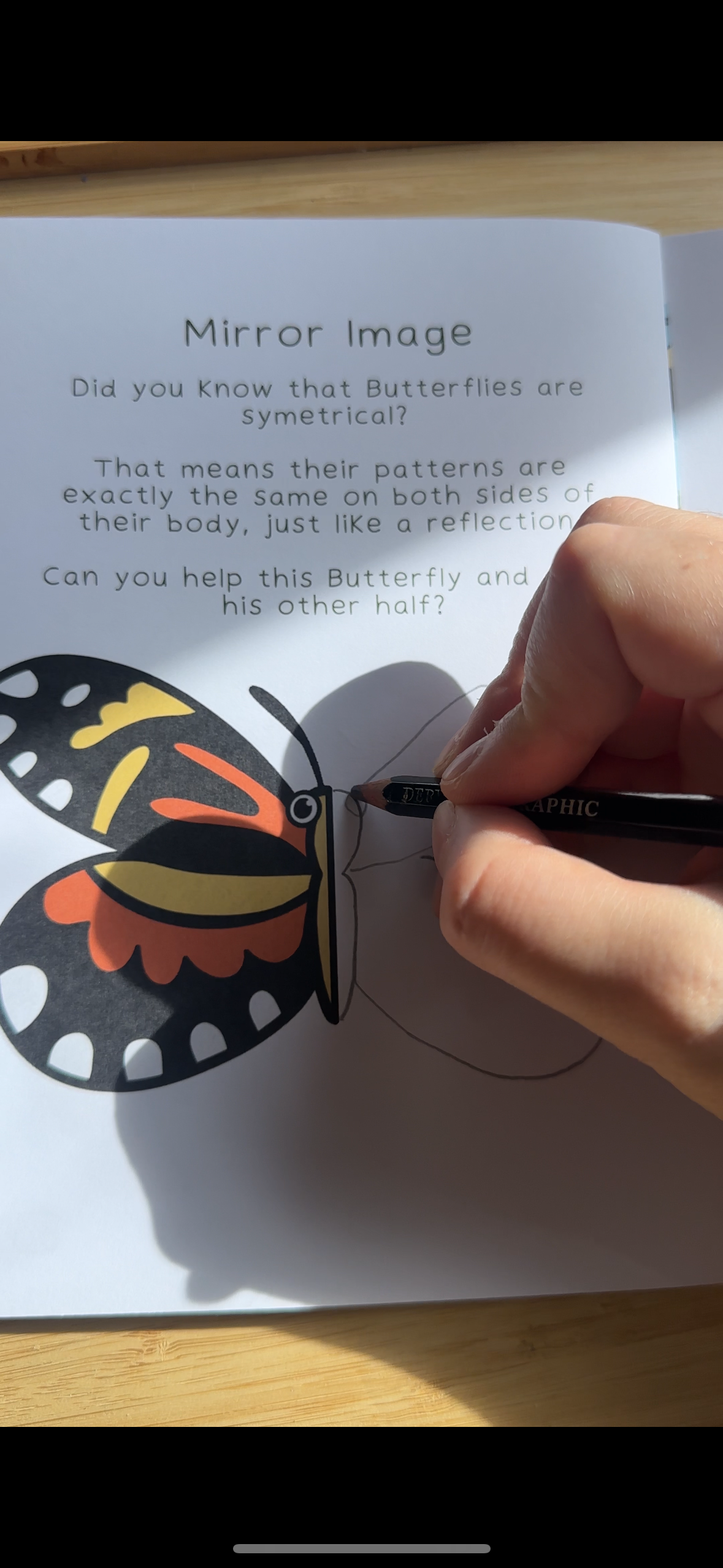 Butterfly Activity Pack
