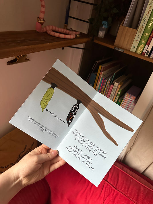 Butterfly Activity Pack