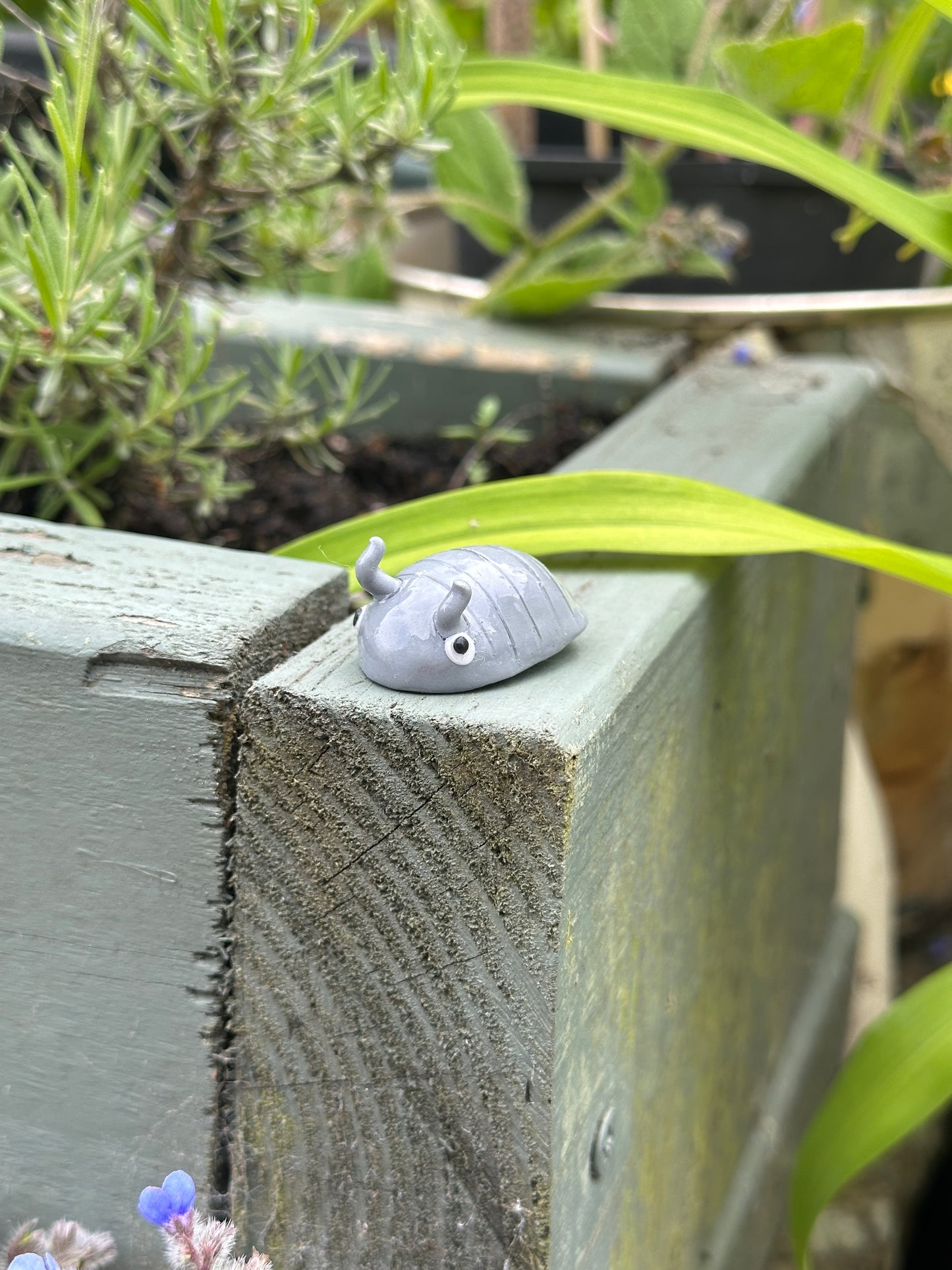 MED Woodlouse Magnet