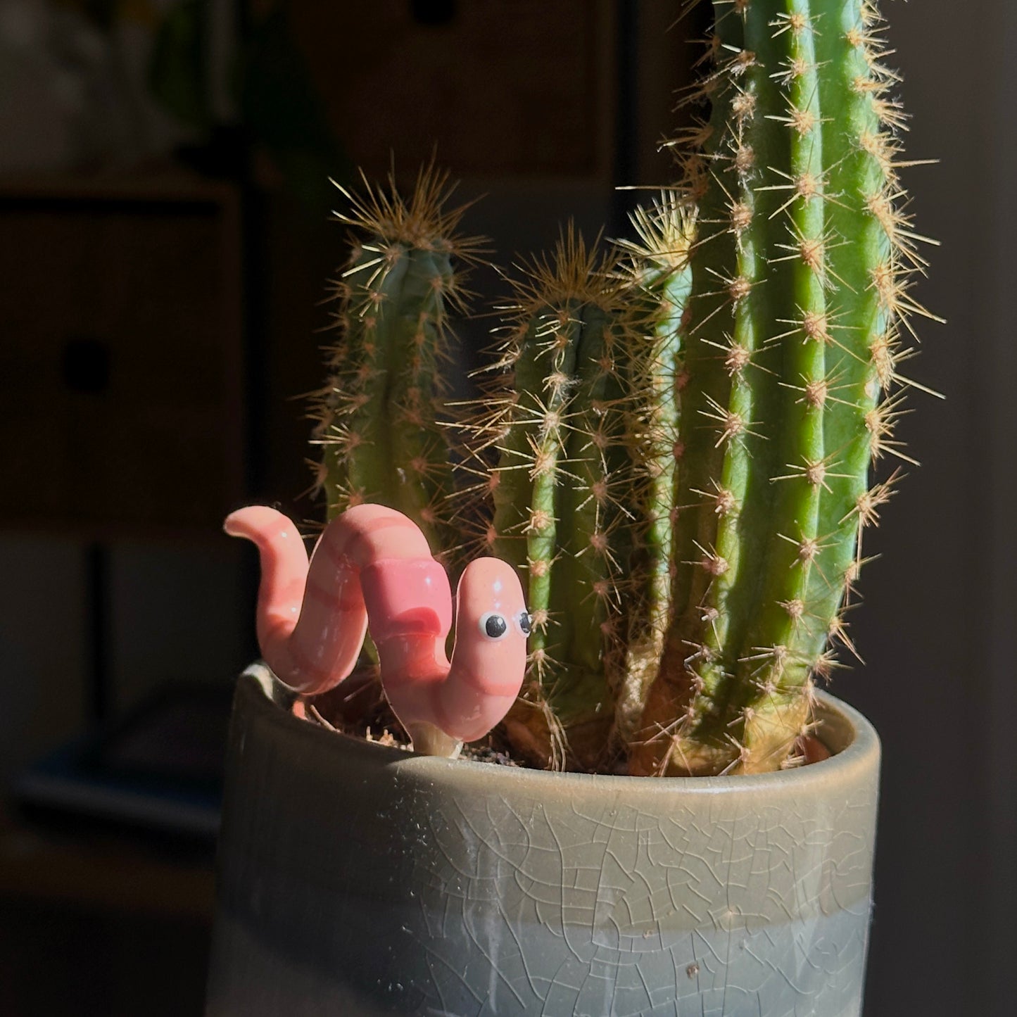 Wiggly Worm Plant Pot Pal