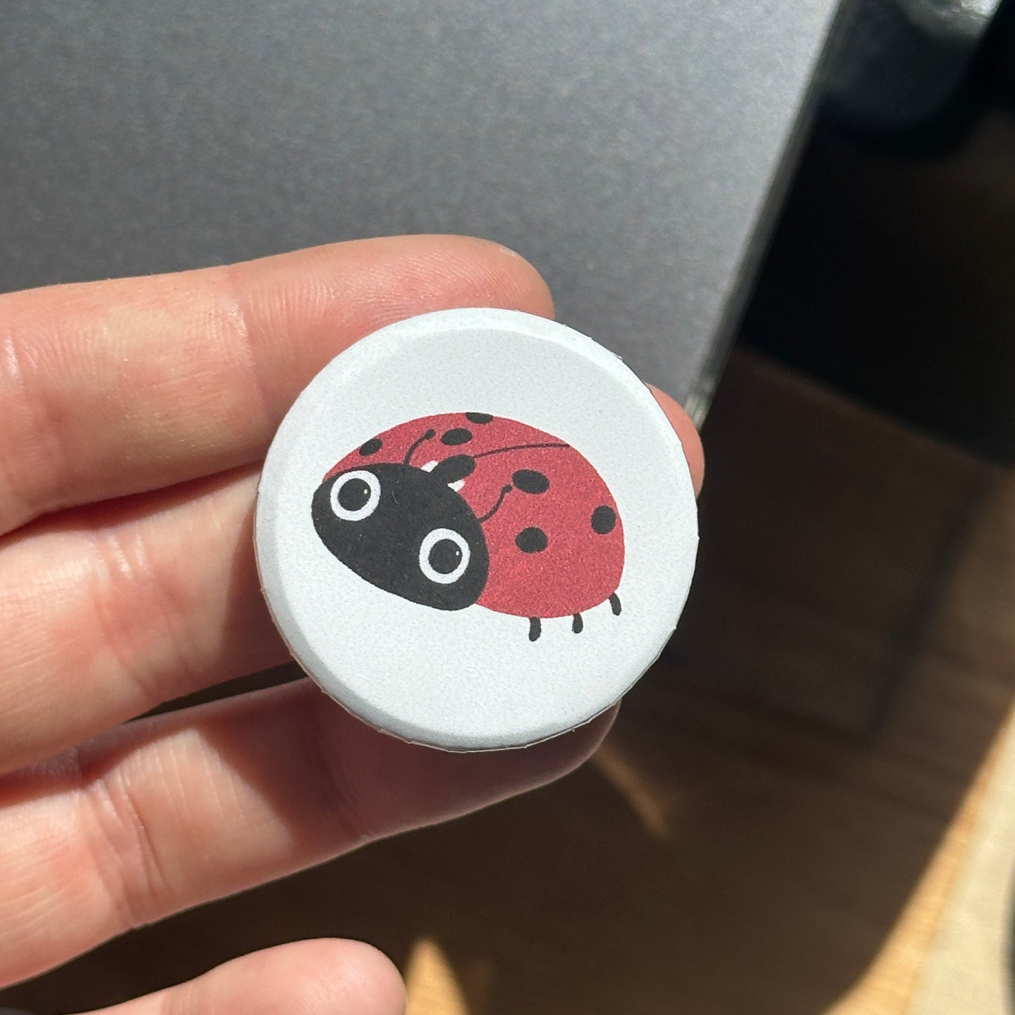 Ladybird Button Badge