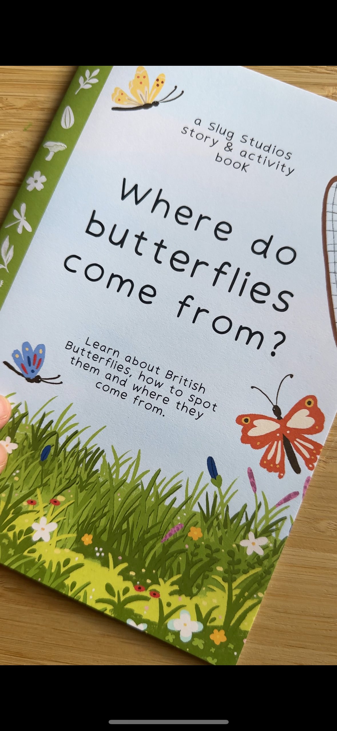 Butterfly Activity Pack