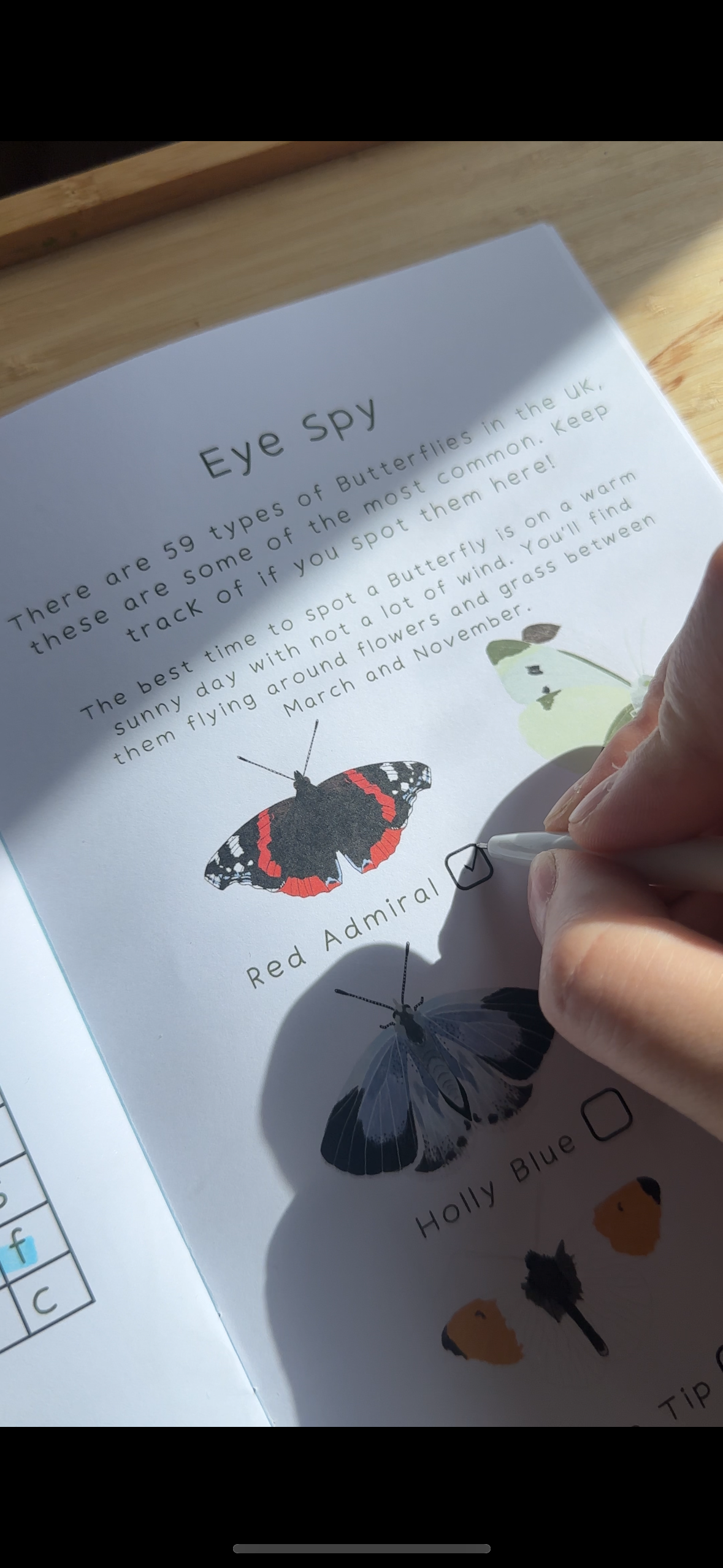 Butterfly Activity Pack