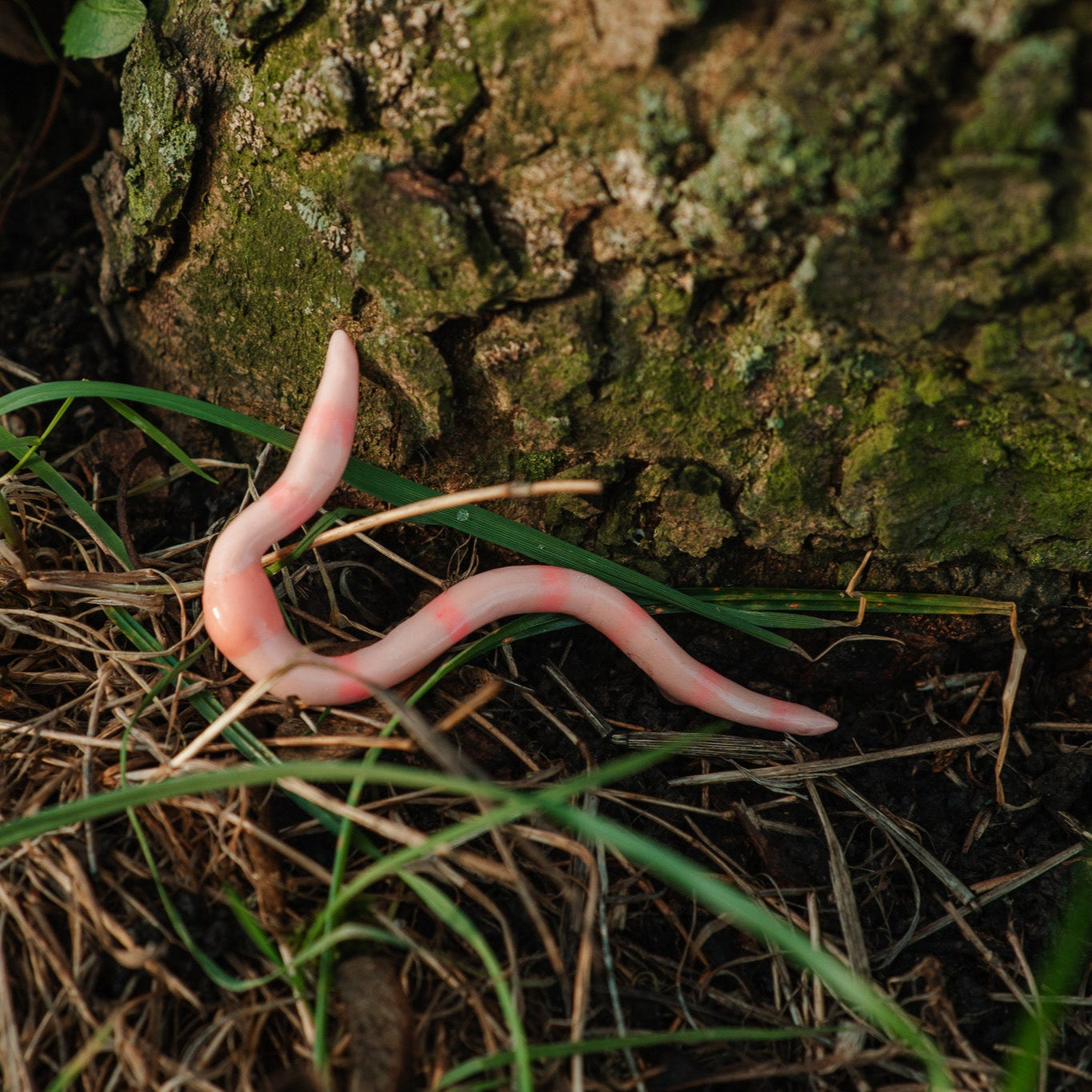Wiggly Fridge Friend 𓆙 Polymer Clay Worm Magnet