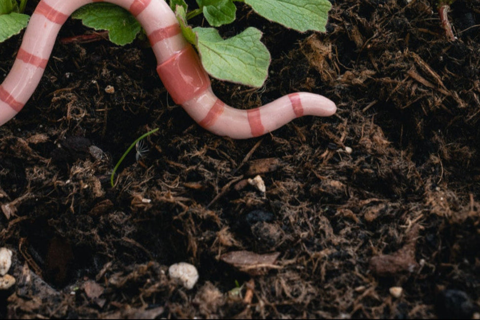 Wiggly Fridge Friend 𓆙 Polymer Clay Worm Magnet