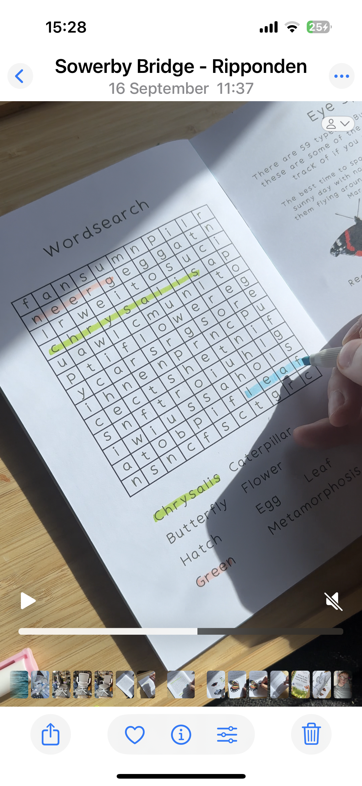 Butterfly Activity Pack