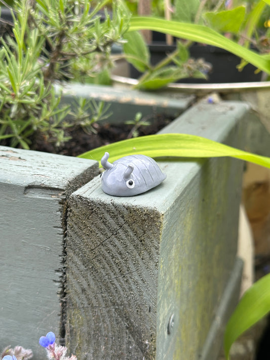 MED Woodlouse Magnet