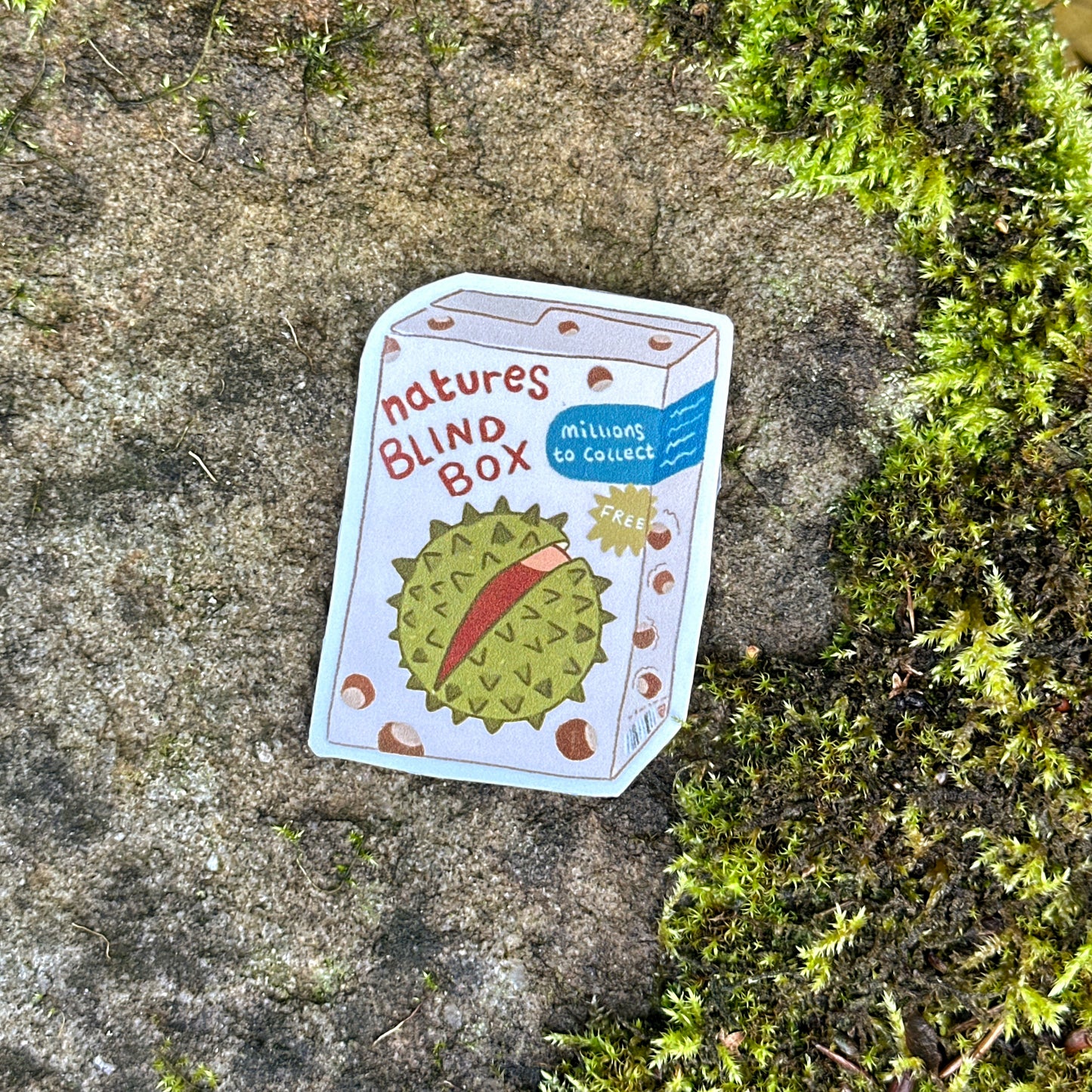 Natures Blind Box Sticker