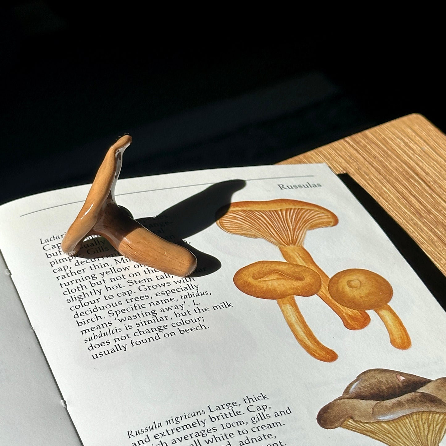 Chanterelle Mushroom Pin Badge