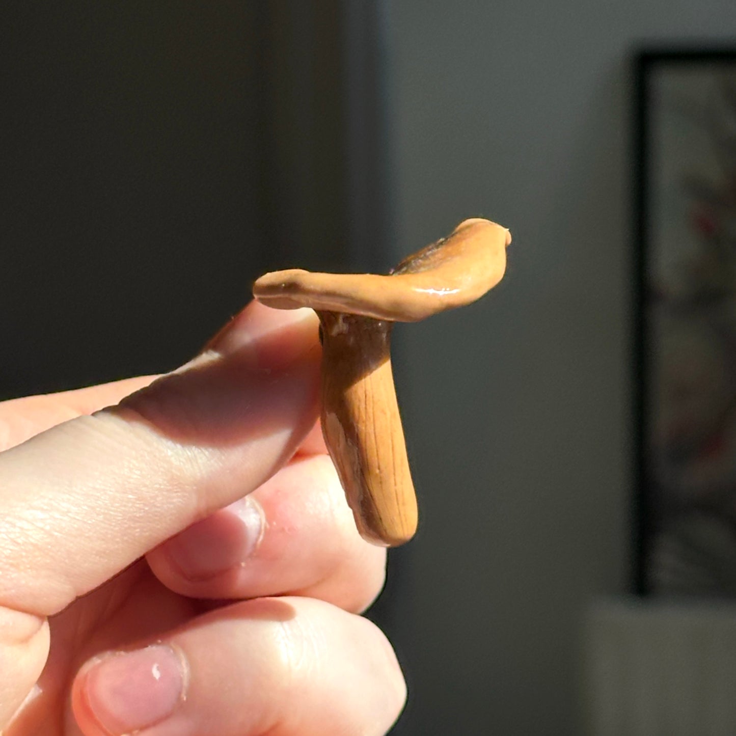 Chanterelle Mushroom Pin Badge