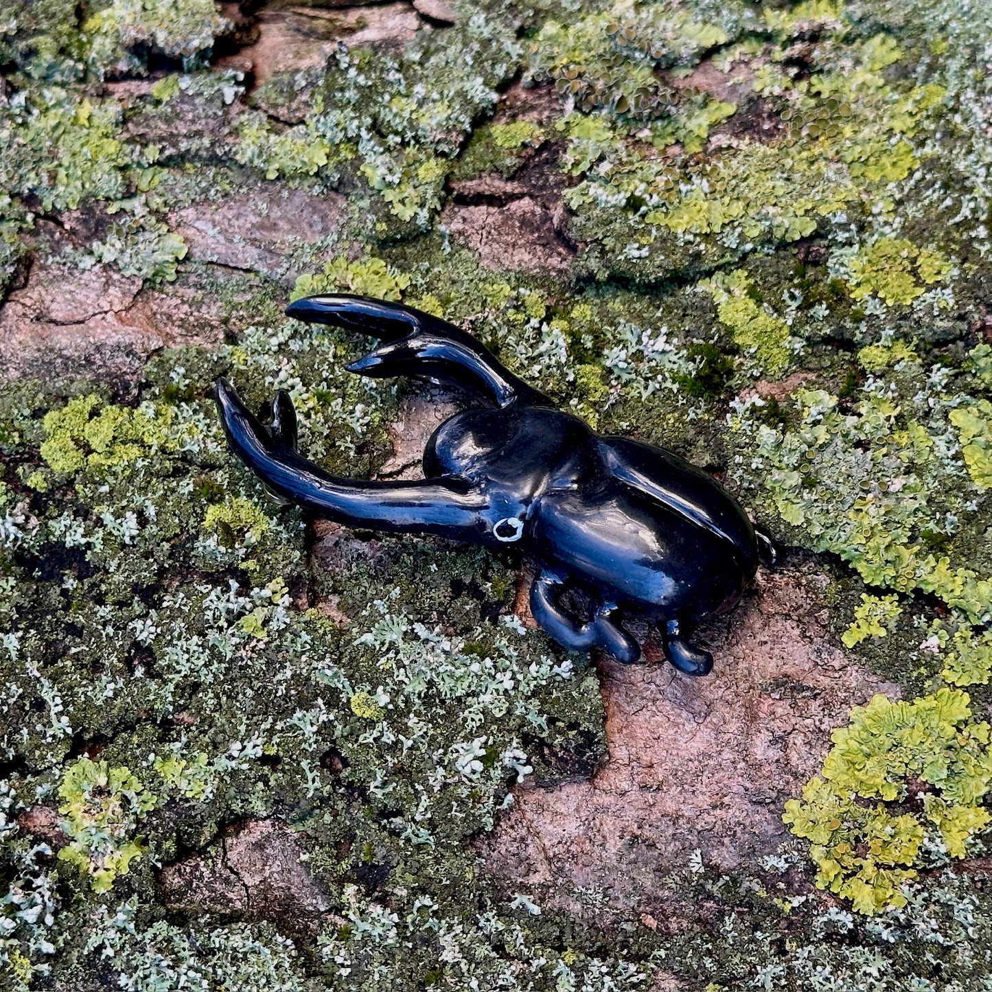Shiny Fridge Friend 𓆣 Polymer Clay Beetle Magnet
